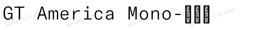 GT America Mono字体转换